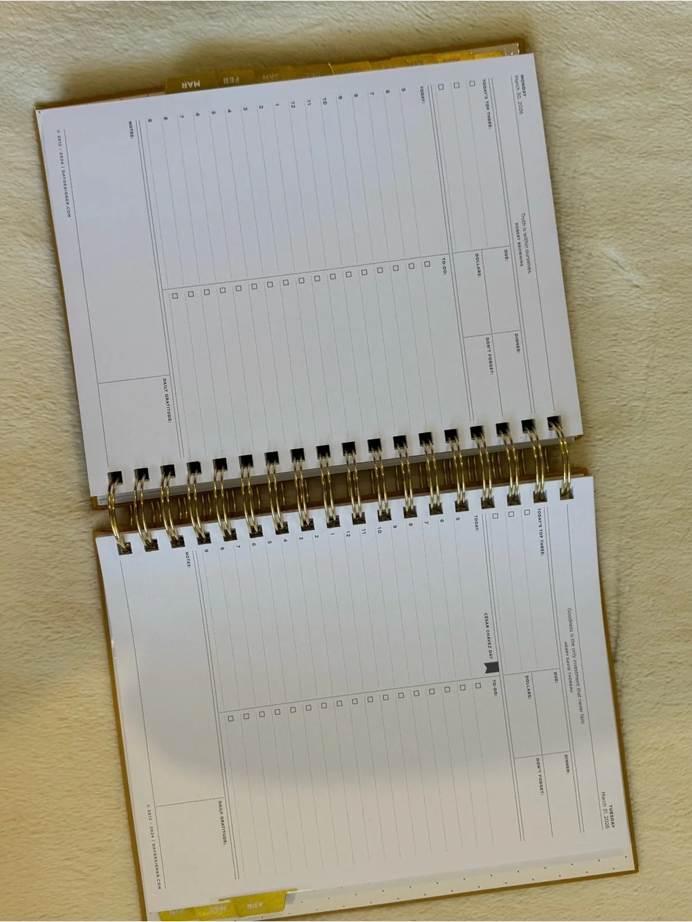 Day Designer Spiral Planner - Carmel Latte Pebble Texture
